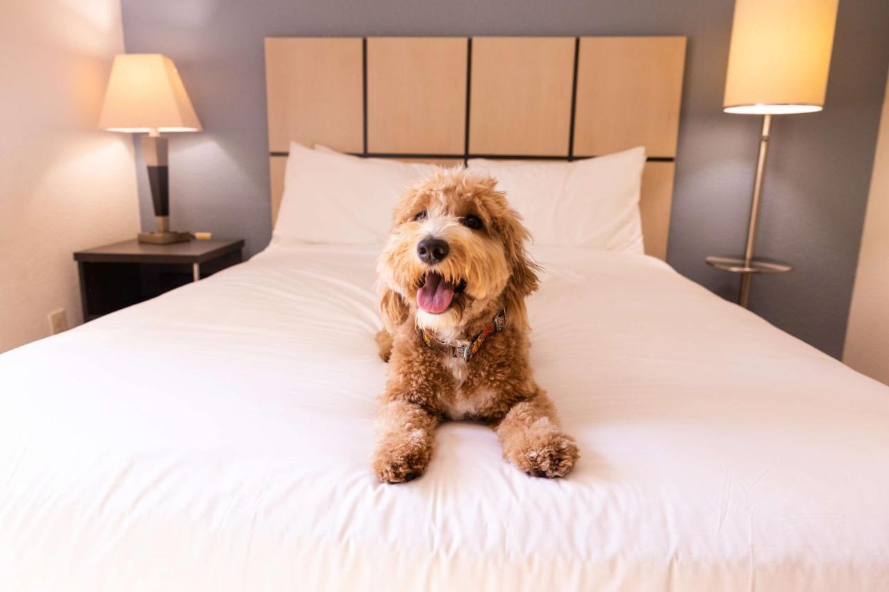Sonesta Simply Suites Charlotte University Εξωτερικό φωτογραφία